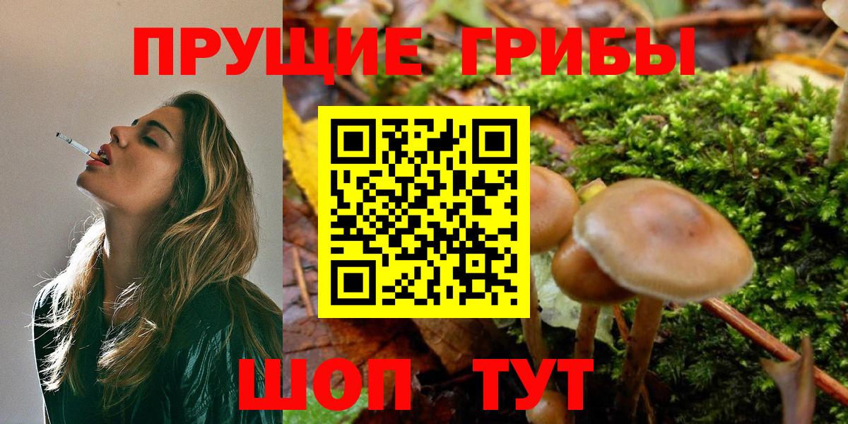 Тула  Галлюциногенные грибы Psilocybine cubensis  Вход с VPN  Псилоцибиновые грибы ЛСД 